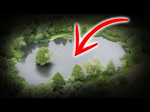 Karpefiskeri i den glemte sø med Carl og Alex