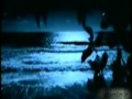 Astrud Gilberto feat.Chet Baker - Far Away 