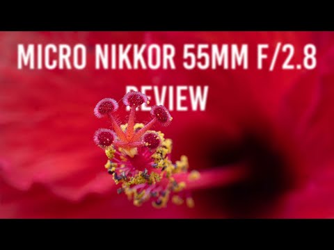 Video thumbnail for Video Review 2