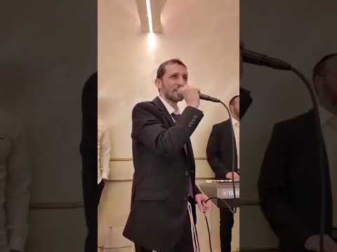תצוגה מקדימה של סרטון