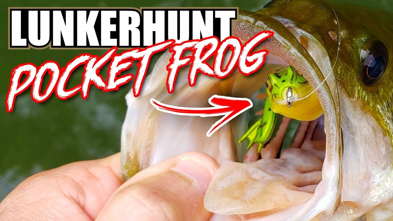 Lunkerhunt Pocket Frog - TOP WATER BASS FISHING! (IT WORKS!!!)