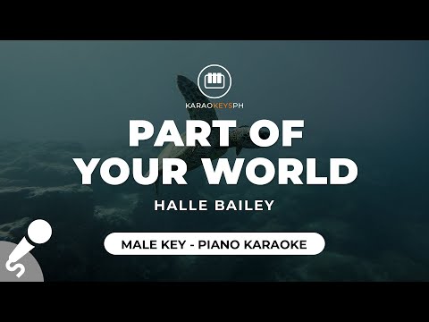 Part Of Your World - Halle Bailey (Male Key - Piano Karaoke)