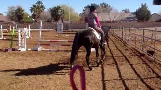 Esther Hiller talisman farm Las Vegas, Ty, 1.18.14