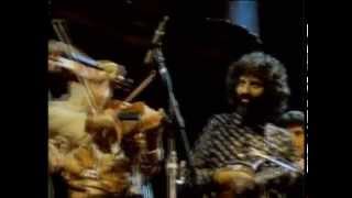 Stéphane Grappelli and David Grisman - Sweet Georgia Brown (San Francisco 1982) [official HQ video]