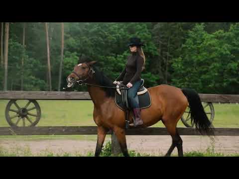 Video for Daria Tkacheva