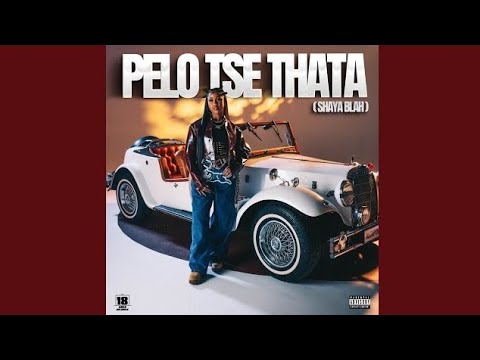 Pabi Cooper, Boohle & Focalistic - Pelo Tse Thata (feat. Mulest Vankay & DJ Maphorisa) [AUDIO]