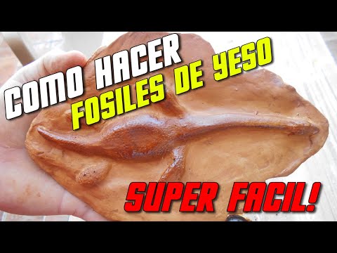 download lagu mp3 mp4 Como Hacer Un Fosil, download lagu Como Hacer Un Fosil gratis, unduh video klip Como Hacer Un Fosil