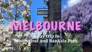 【Melbourne Vlog】A day trip to Montsalvat & Banksia Park / 春真っ盛りのメルボルンで家族とお花見を楽しんだ一日Vlog🌸🌸🌸