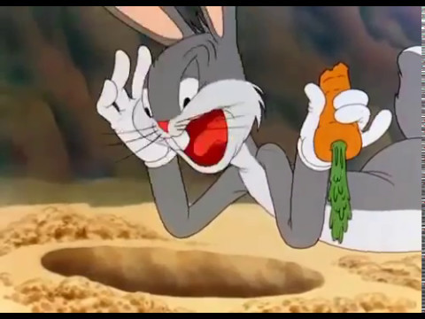 Bugs Bunny ft Elmer Fudd   The Wacky Wabbit 1942