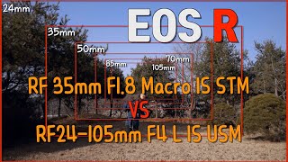 캐논 RF 24-105mm F4 L IS USM (정품)_동영상_이미지