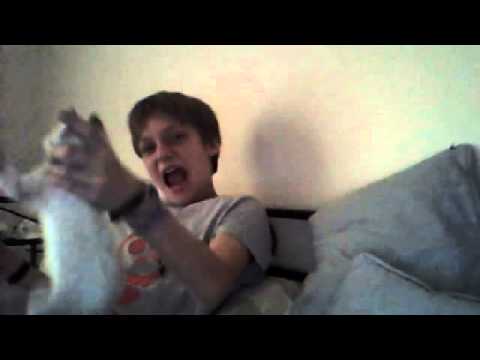 Junge spielt mit armer Katze