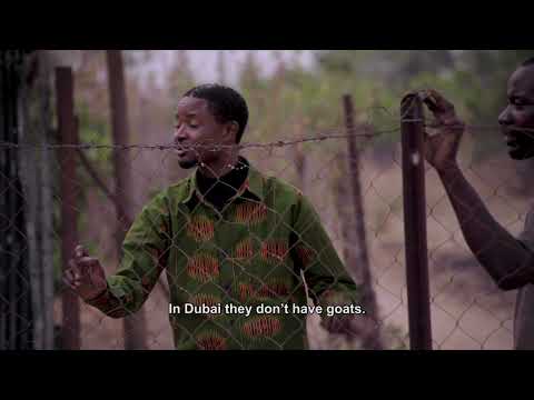 Belinda plays on a man's lap😂🤣 - Shi Mumbi | S4 | Ep 13 | Zambezi Magic