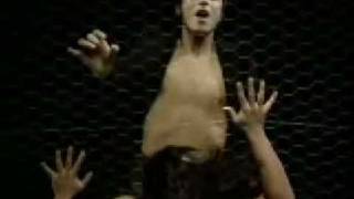 Calogero - Aussi libre que moi Subtitulado Español