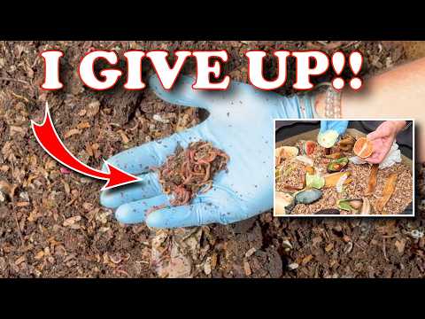 Worm Bin MELTDOWN! Why I Moved My Urban Worm Bag Indoors!