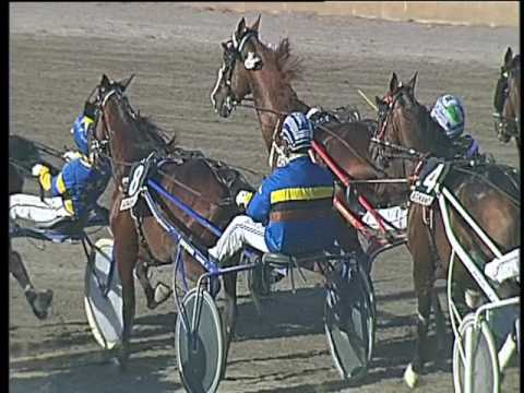 Trotto 29/04/2017 - 7ª corsa