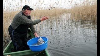 Прикормка для хищной рыбы летом