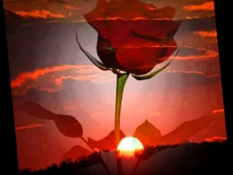 Mustafa Yıldızdoğan Seni seviyorum Kardelen çiçeğim