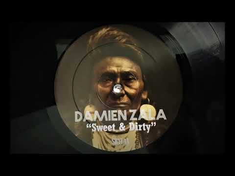 Damien Zala - Shake Vibration