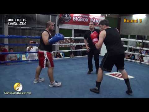 Maurizio Mistretta VS Tony Krongarom - BOXE - "Dog Fights" 2017 RAW VIDEO