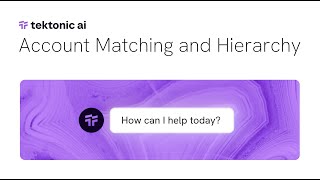 Account Matching and Hierarchy Demo | Tektonic AI
