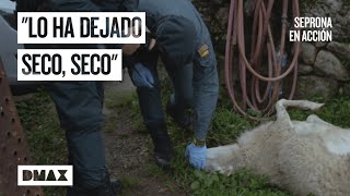 Thumbnail del capítulo
