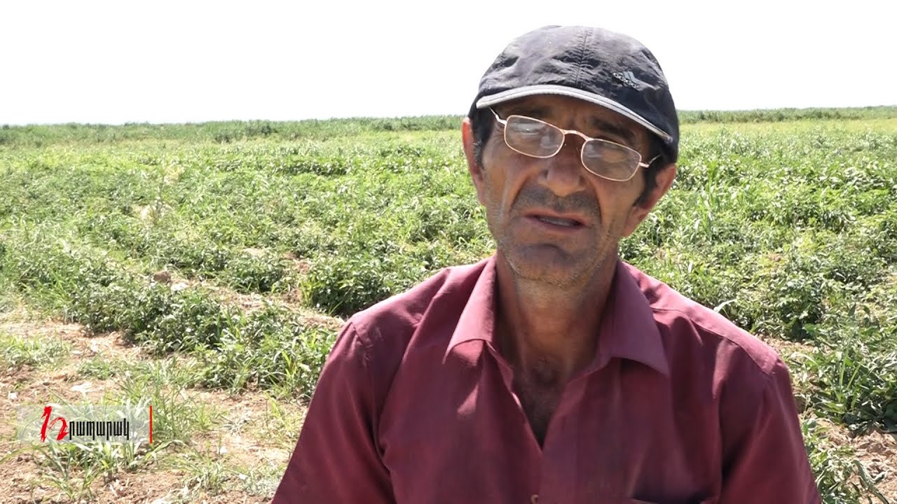 Հողերը Պուտինն ա տվել․ ավելի լավ ա՝ միանանք Ամերիկային․ Արմաշի բնակիչ