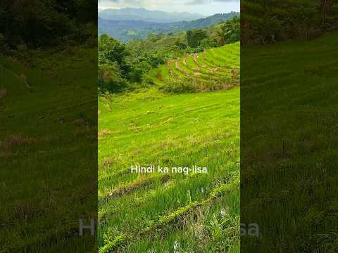 “Hindi ka nag-iisa” #mcgi #mcgicares #mcgishines #nature #mcgimusic #mcgisong #bohol #travel