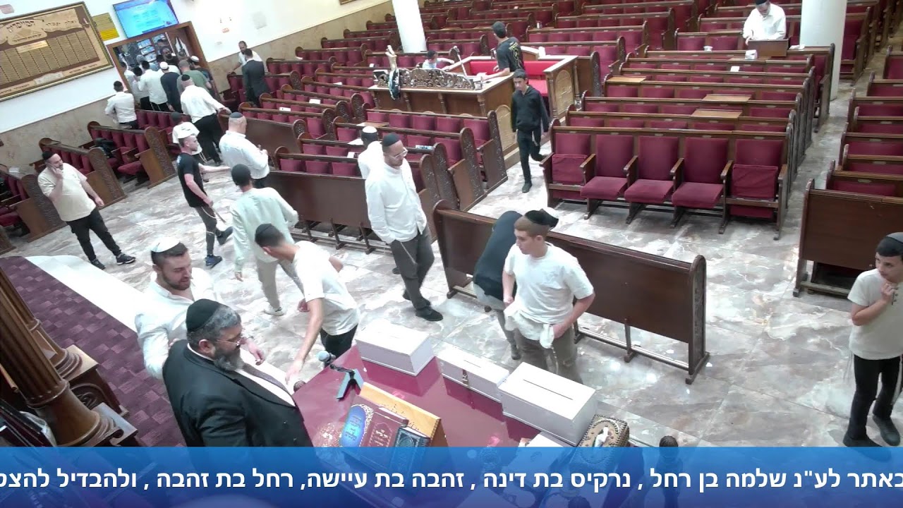 הרב אייל עמרמי - ב' תמוז תשפ"ו [17.06.26]