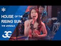 The Animals House Of The Rising Sun Cover Gigi De Lana Jon Jake Romeo Oyus