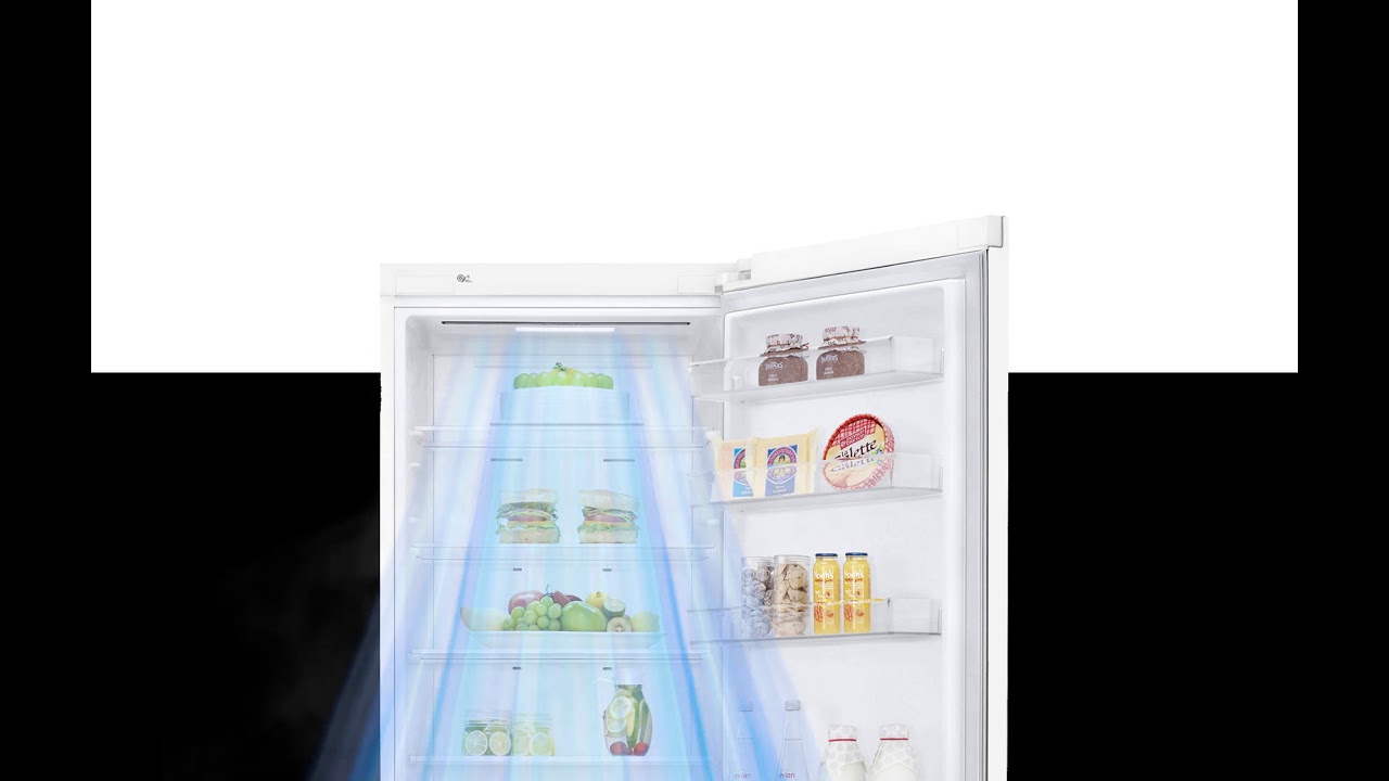 Двокамерний холодильник LG GA-B509SQKM video preview