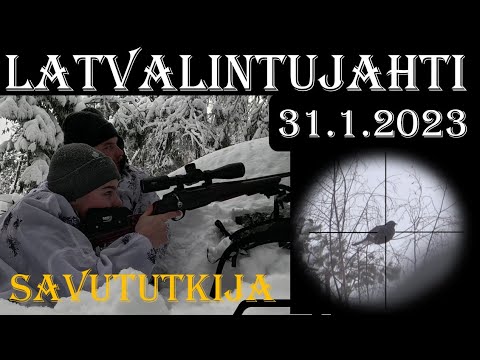 Latvalintujahti 2023 Osa 2 - Toppjakt - Grouse and Capercaillie Hunting in Finland
