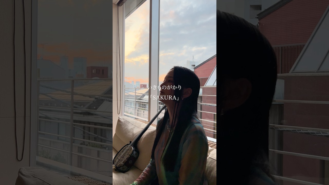 SAKURA / いきものがかり　#石垣優 #歌ってみた #sakura #いきものがかり #カバー #cover #coversong #桜 #花見