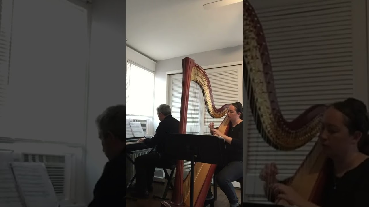 Promotional video thumbnail 6 for City Winds Flute and Harp  Duo