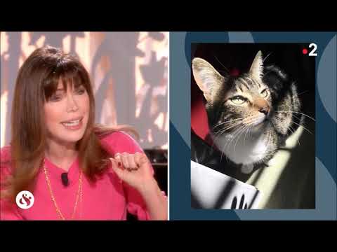Isabelle Morizet : sa passion pour son chat "Monsieur Serge", un chat pas comme les autres !!!