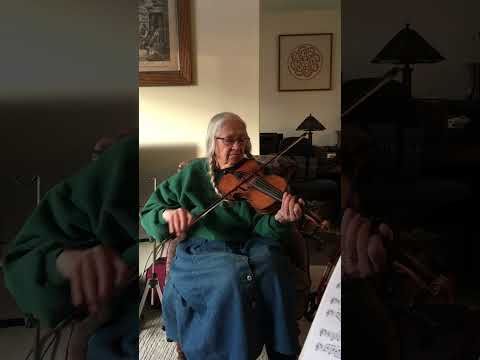 The reunion by Vivian Williams played by Vivian Williams