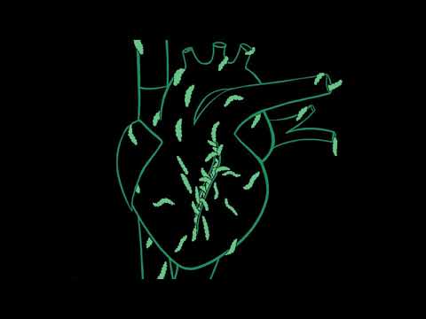 6. Song of the Hive (What Jane Might Have Heard) - A Song for The Corruption