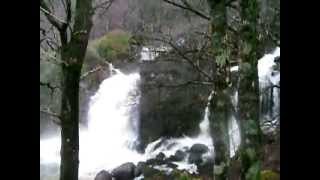 preview picture of video 'Inversnaid Waterfall, Loch Lomond, Scotland'