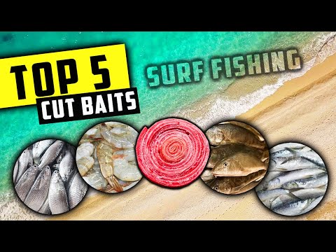 Top 5 Cut Baits for Surf Fishing