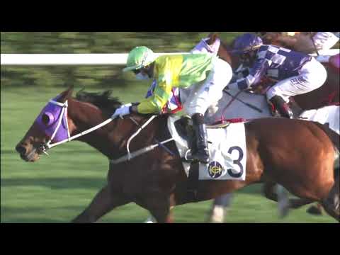 1/1/2021 (314) California Rad - J Moreira