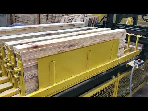 Olimpia Olimpia P240123119