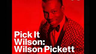 Wilson Pickett -  Everybody Needs Somebody To Love 1966