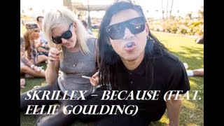 Skrillex - Because (NEW 2019 Instrumental demo) [high quality audio]