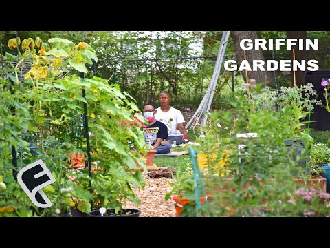 Buying a Vacant Detroit Lot for $100 and Transforming it into a Community Garden