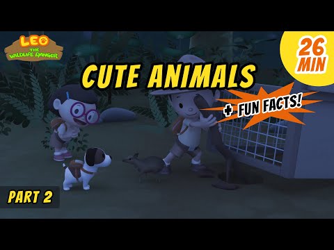 Witness21 Editor  2020 06 19