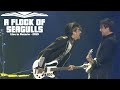 A Flock Of Seagulls - Nightmares - Live in Ontario 2019 Video HD