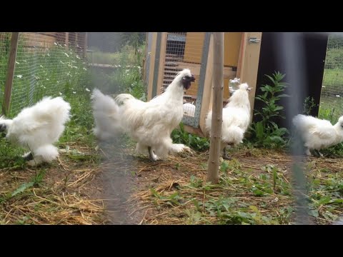 Mart Avi - Sanctuary Trek