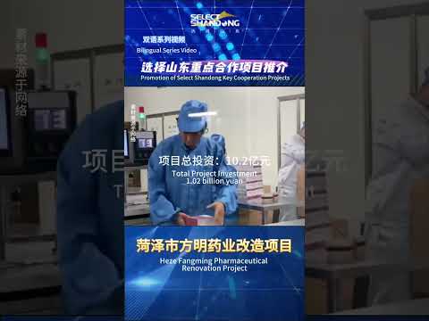 双语系列视频|选择山东重点合作项目推介Bilingual Series Video | Promotion of Select Shandong Key Cooperation Projects
