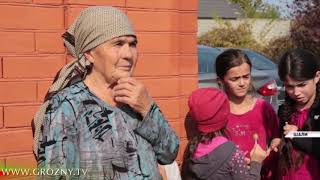 Жительнице Шали помогли с покупкой коровы 