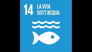 Pillole di sostenibilità / Agenda 2030: la vita sott'acqua