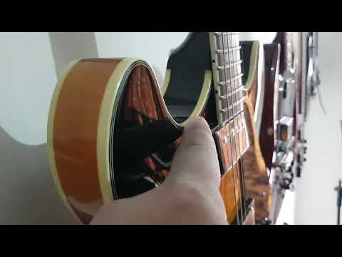 Sire Larry carlton H 7 guitar   not upto the mark